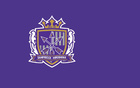 廣島三箭技術(shù)總監(jiān)因違規(guī)用球員致亞冠失利辭職