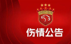 海港隊(duì)顏駿凌左踝韌帶撕裂，預(yù)計(jì)傷缺2-3周