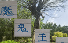 大連魔鬼主場(chǎng)，林良銘深感其威！