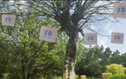 申花俄帥指揮神，換五人皆進(jìn)球。