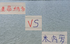 申花米內(nèi)羅VS海港萊昂納多，巴西外援誰(shuí)更出色？