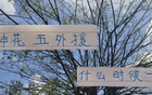 申花外援上場時機及四大豪門對比