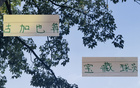 蔣內(nèi)傷，大連賽，馬艾誰得機(jī)？