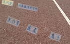 申花米內(nèi)羅13輪最佳搭配劉誠(chéng)宇，前鋒表現(xiàn)決定勝負(fù)。