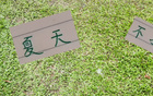 申花領(lǐng)先6分，國安續(xù)約烏，夏窗靜待。