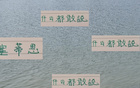 北京國安教練摔瓶，訓(xùn)練環(huán)境差，張玉寧情況曝光。