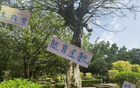 米內(nèi)羅金靴，申花奪冠，范志毅95年輝煌再現(xiàn)。