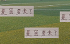 中超前四外援換人可能，海港加布里、申花路易斯面臨調(diào)整壓力。