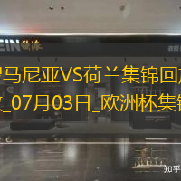 07月03日歐洲杯1/8決賽羅馬尼亞vs荷蘭進(jìn)球視頻