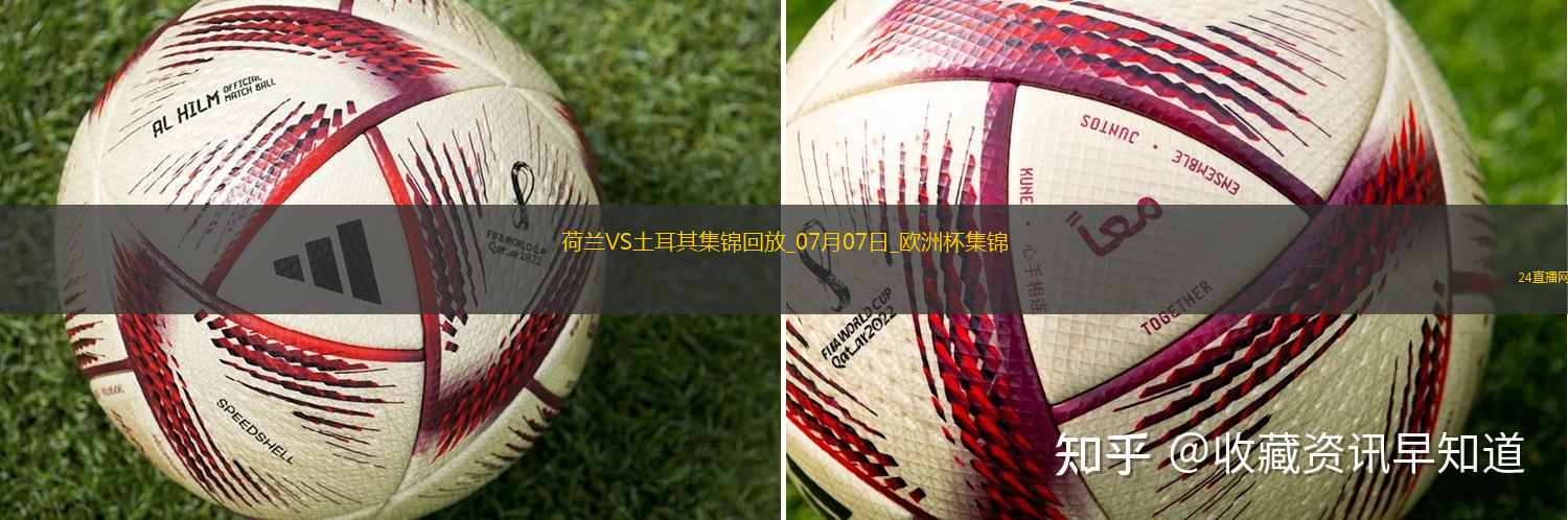 07月07日歐洲杯1/4決賽荷蘭vs土耳其精彩片段