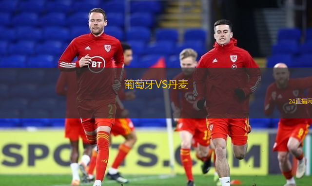 葡萄牙VS丹麥
