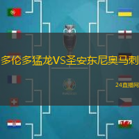 多倫多猛龍VS圣安東尼奧馬刺