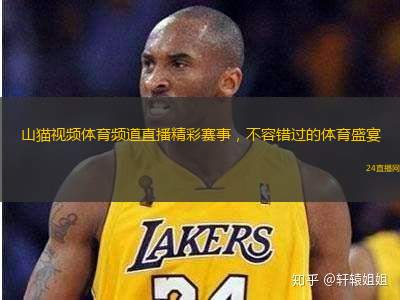 山貓視頻體育頻道直播精彩賽事，不容錯(cuò)過(guò)的體育盛宴