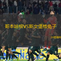 哥本哈根VS斯文堡格兔子