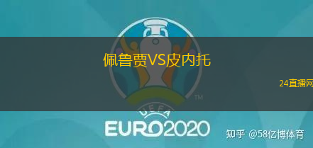 佩魯賈VS皮內(nèi)托