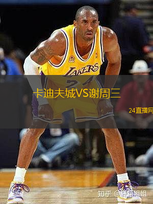 卡迪夫城VS謝周三