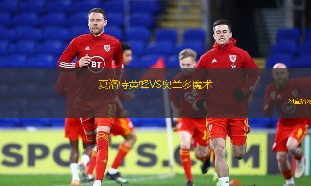 夏洛特黃蜂VS奧蘭多魔術(shù)