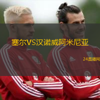 塞爾VS漢諾威阿米尼亞