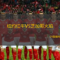 紐約紅牛VS芝加哥火焰
