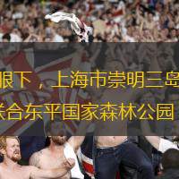 本網(wǎng)訊 記者李斌 通訊員黃海華報(bào)道  眼下，上海市崇明三島春意正濃，2025年崇明花朝節(jié)即將開(kāi)幕。3月21日，崇明區(qū)消防救援支隊(duì)聯(lián)合東平國(guó)家森林公園，開(kāi)展“321GO！消防科普 citywalk”活動(dòng)