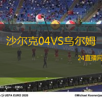 沙爾克04VS烏爾姆