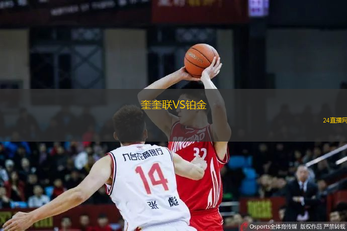 奎奎聯(lián)VS鉑金