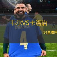 韋爾VS卡洛治