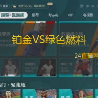鉑金VS綠色燃料