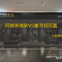 阿德萊德聯(lián)VS惠靈頓鳳凰