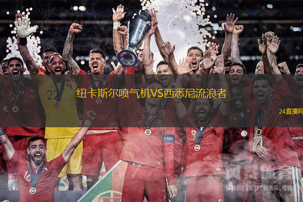 紐卡斯?fàn)枃姎鈾CVS西悉尼流浪者