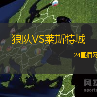 狼隊VS萊斯特城