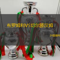 布羅姆利VS切爾滕漢姆