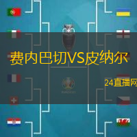 費(fèi)內(nèi)巴切VS皮納爾