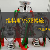 維特斯VS鄧博施