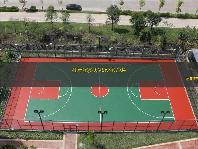 杜塞爾多夫VS沙爾克04