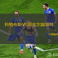 科特布斯VS因戈爾施塔特