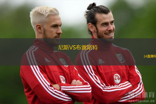 尼斯VS布雷斯特