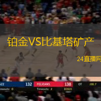 鉑金VS比基塔礦產(chǎn)