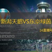 新潟天鵝VS東京綠茵