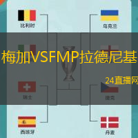 梅加VSFMP拉德尼基