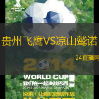 貴州飛鷹VS涼山鷲諾