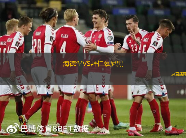 海德堡VS拜仁慕尼黑