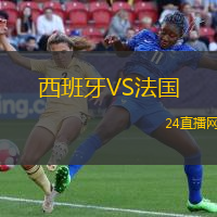 西班牙VS法國